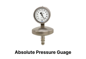 absolute pressure guage